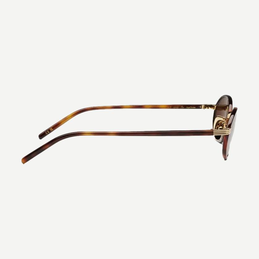 Chimi Lea - Royal Tortoise - Galvanic.co