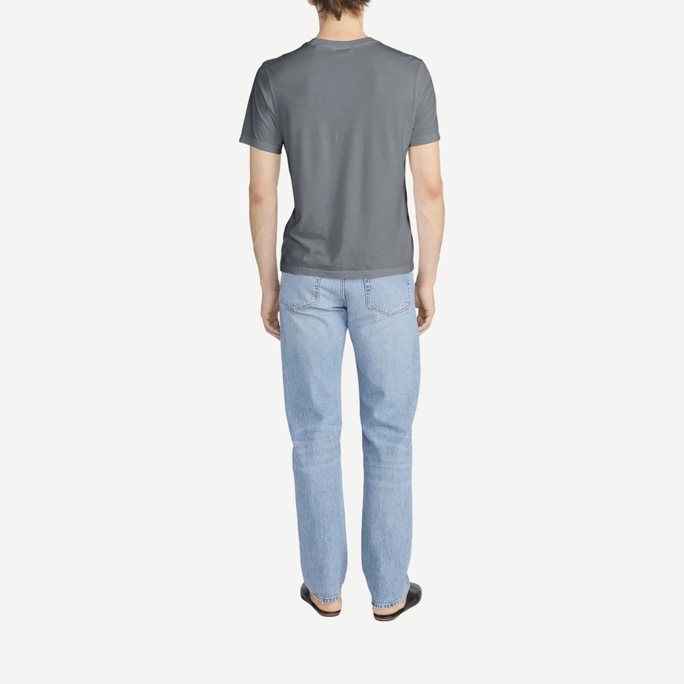 Light grey short-sleeve cotton T-shirt by Frame Denim, modern fit, plain design, soft fabric, worn casually.