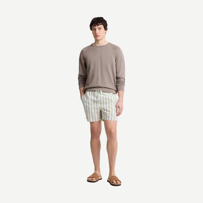 Charles 5" Swim Trunk Macro Stripe - Sea Glass/Cream - Galvanic.co