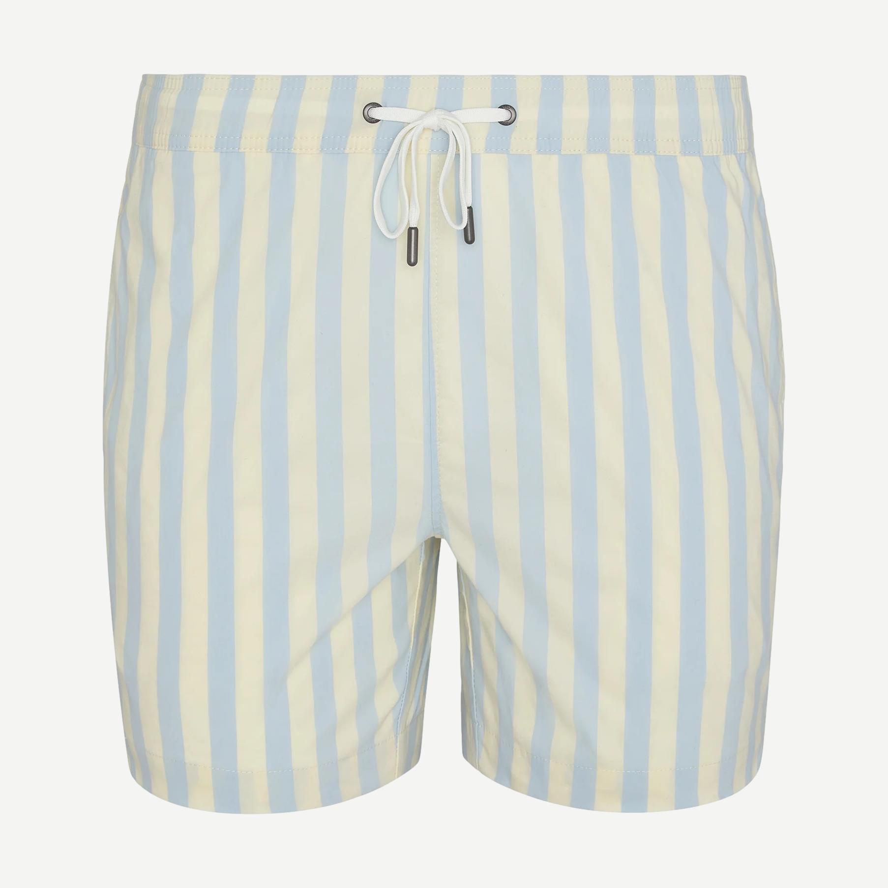 Charles 5" Swimshort Macro Stipe - Sky/Cream - Galvanic.co