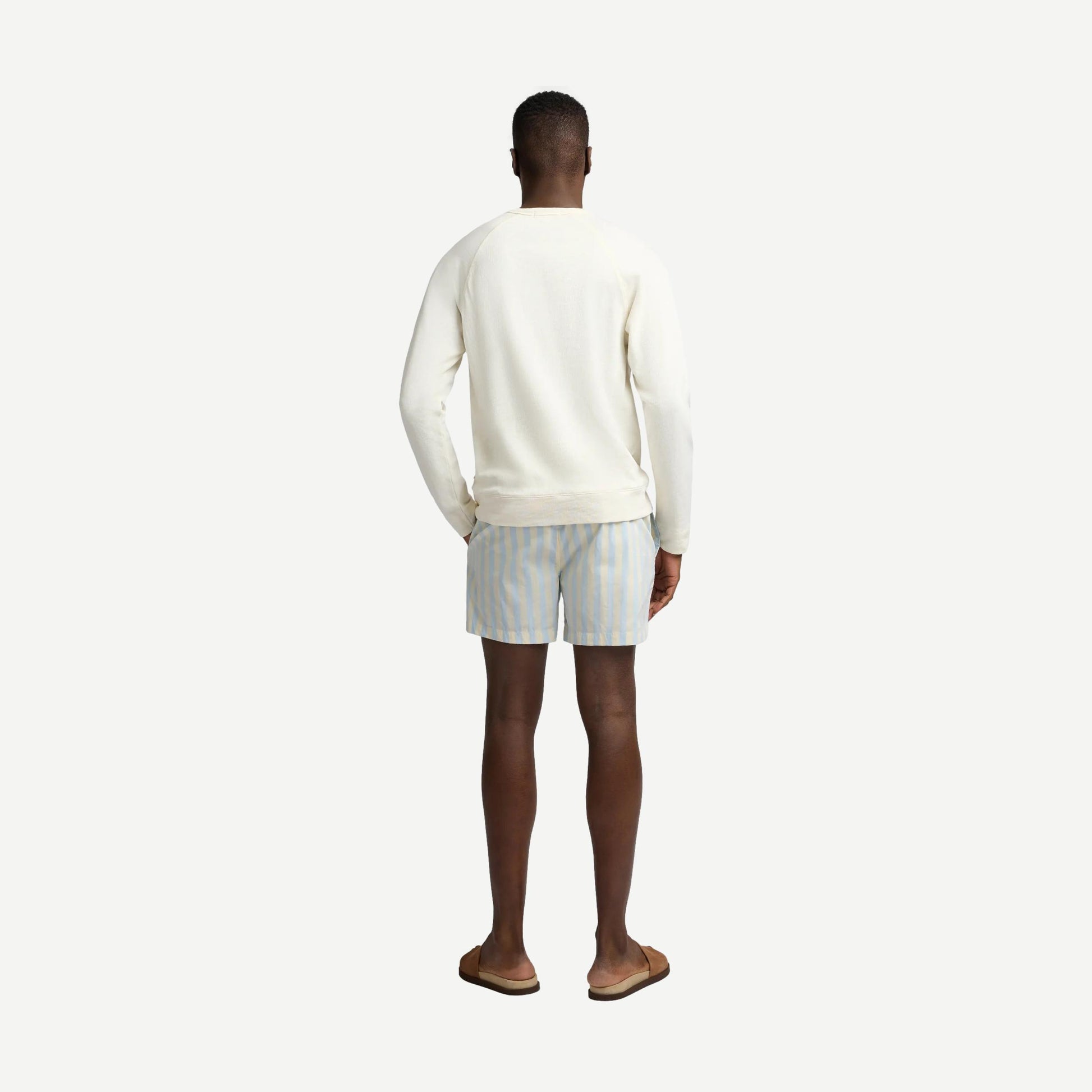 Charles 5" Swimshort Macro Stipe - Sky/Cream - Galvanic.co