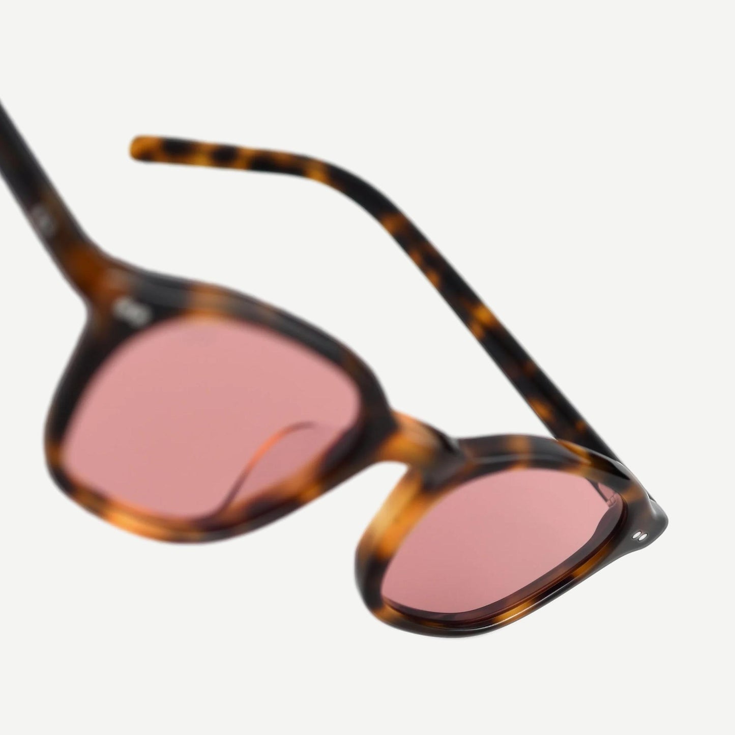 Nomos - Tortoise/Rose