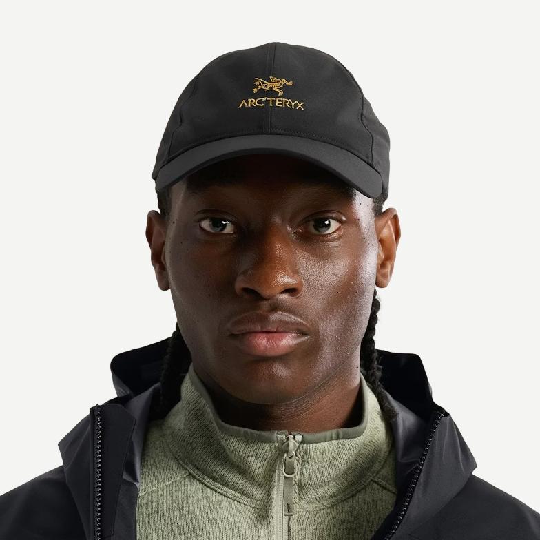 Black Bird Word Cap by Arcteryx featuring a front view, stylish hat with bird logo and 24K black finish.