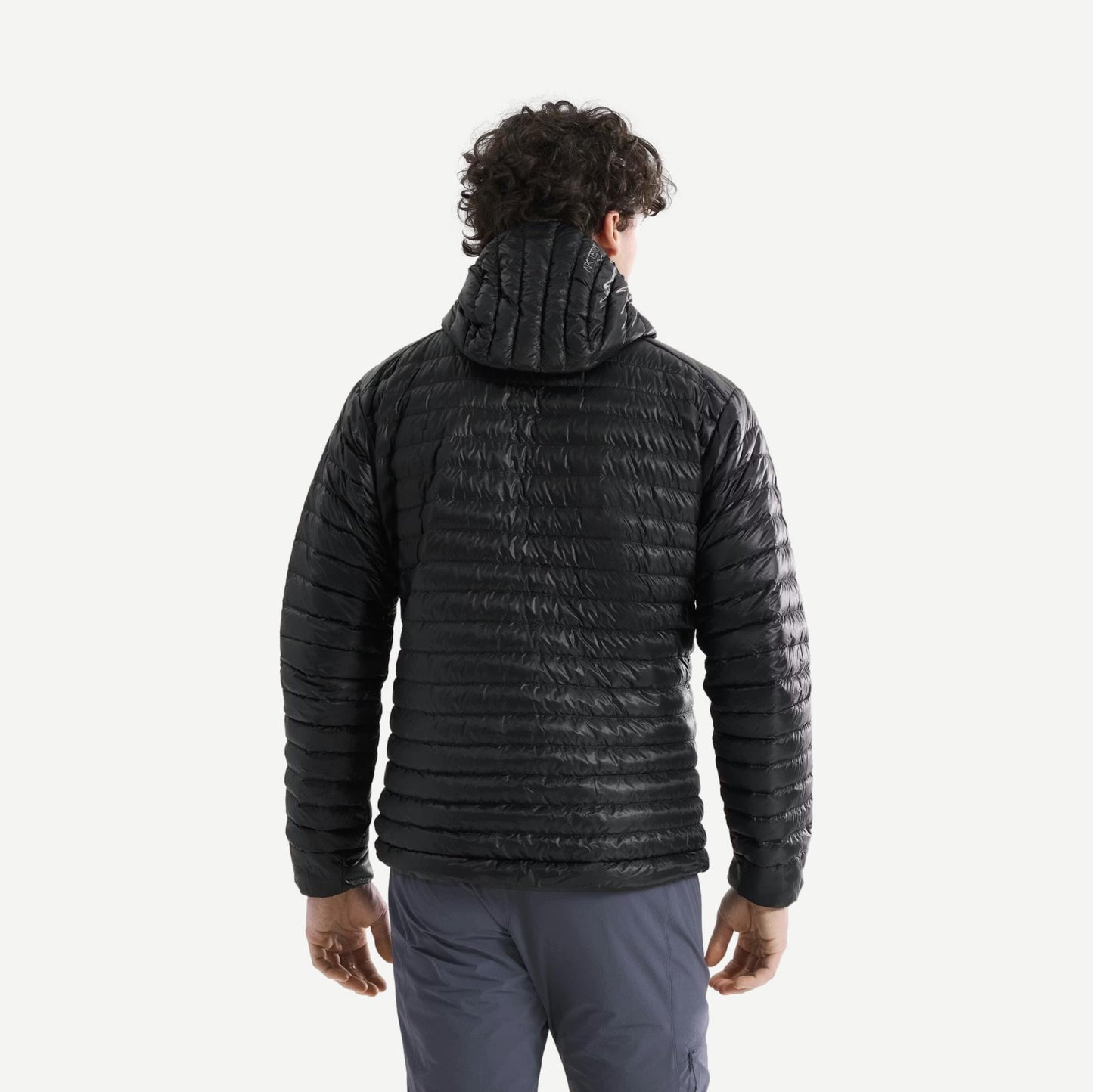 Black Arcteryx Cerium SL Hoody jacket shown from the back, lightweight down insulation with a sleek design and technical fabric.